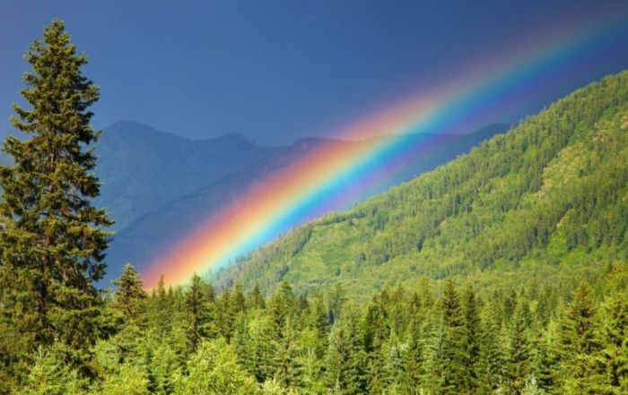 Rainbow on hillside